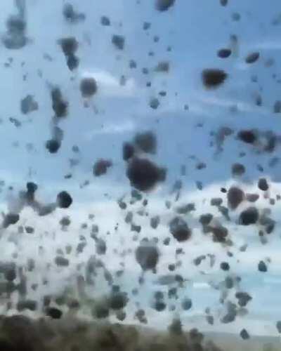 Well, shit. (wonder what his paint job looks like now?)