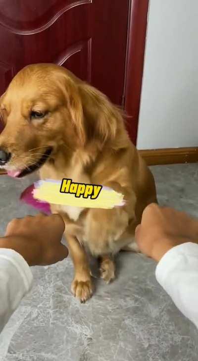 The silence is too loud