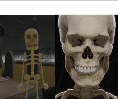 Average fan vs enjoyer: spooky skeleton halloween version