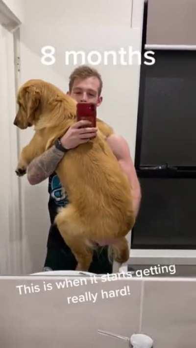 Time-lapse - pupper to doggo