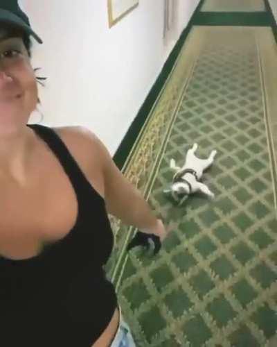 WoMaN kiLLs PuPPy aNd drAgS hiM doWN hoTeL hAllWAy aND thInks Its fUnNy