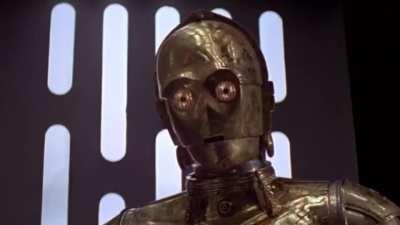 I looked into those eyes and saw nothing. Not a flicker of humanity, not a hint of mercy, just cold yellow steel.