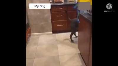 E assim nasce um assassino