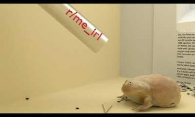 The ultimate wednesday.