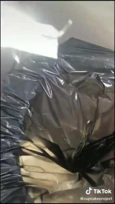 I don't even know what to flair this as.