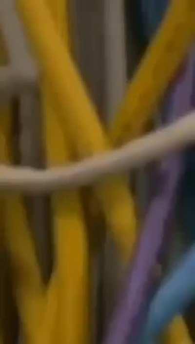 Do it now we are running out of time before