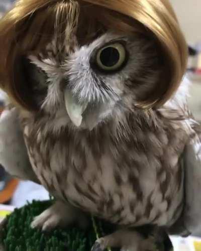 hyper realistic Nanashi Mumei cosplay