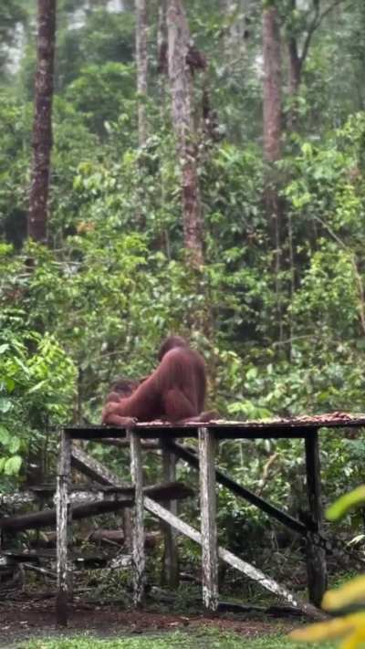 kapan lagi liat begituan