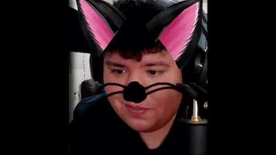 Perigata bajo la lluvia, descubri que el modelo funciona mejor cuando no hay gritos muy agudos