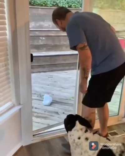 There you go buddy, have some f...