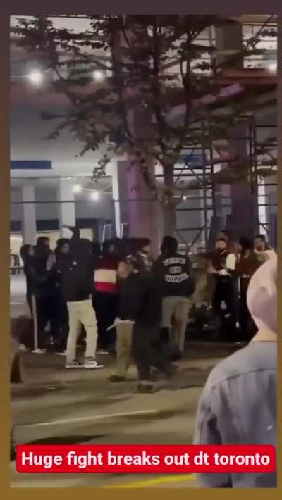 Brawl Breaks Out in Little India (Downtown, Toronto)
