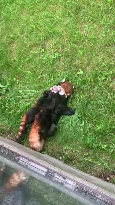 What are they fighting about?