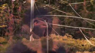 I Accidentally Murdered My Friend - I Made This to Explain Why