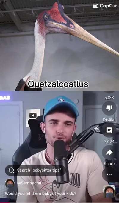 Would you let quetzalcoatlus babysit your kids?