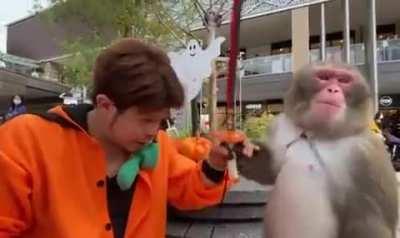 Executed in broad daylight