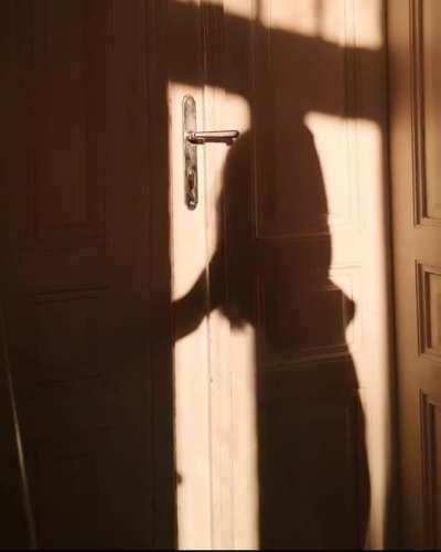 golden hour aesthetics