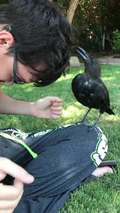 Let me fix your hair!