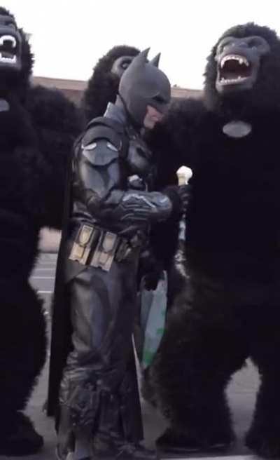 Batman vs the Gorilla Grodds