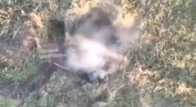 A Ukrainian drone dropping a VOG-17 grenade directly on a Russian soldier.