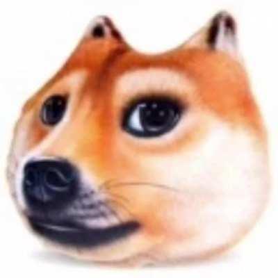 what da bush administration doin