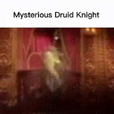 Mysterious Druid Knight