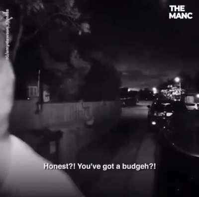 “No I got a budgeh”