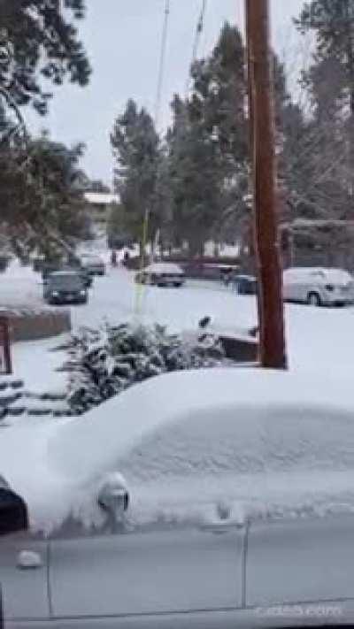 Idiot in Prius loses control down a steep snowy road in Oregon. Proceed's to jump out of the sliding vehicle and her car gets hit by another reckless driver.