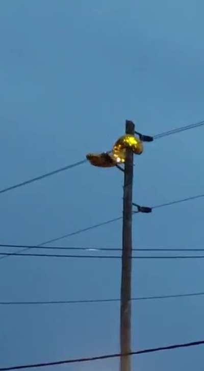 Soltar los globos male sal