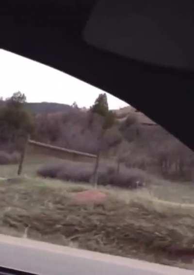 Dylan Klebold (columbine shooter) fangirls…