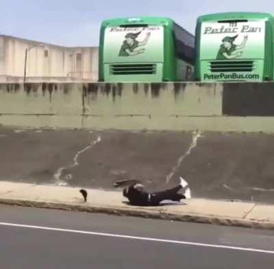 Bitch I'm not a skate park