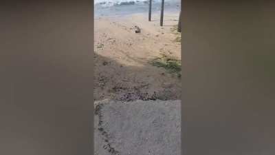 Какое смешное облако поднимается из-за горизонта...