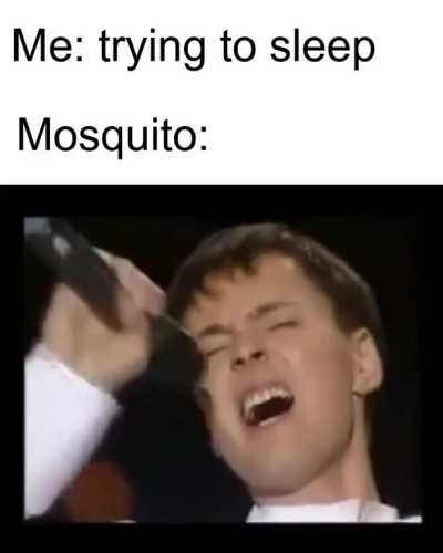 I made a meme regarding Vitas (might have already been done before i just had the idea because of a youtube comment)