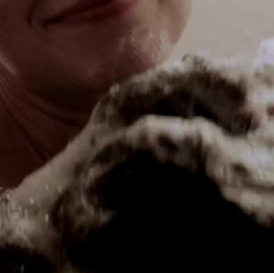 Diora Baird -- Quit (2010)