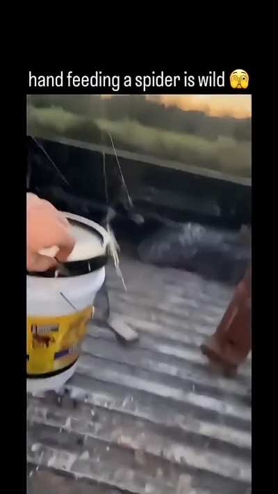 Male friend groups be like