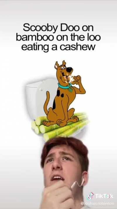 SCOOBYBOOOOOOOOB-