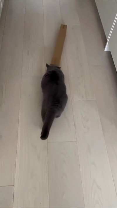 No calculations will definitely help here