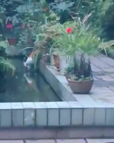 He waited his whole life for this specific moment