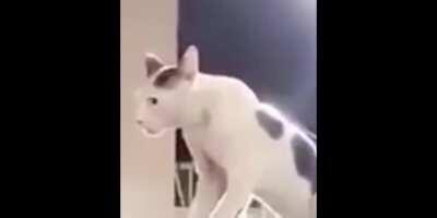 what... did she say???