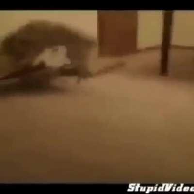 Unsure if it was posted before, but god it's moldy