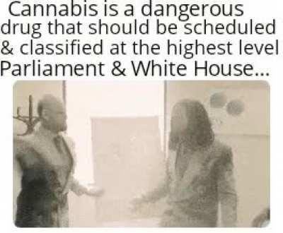 White House is an unfortunate name here.