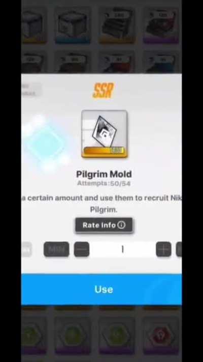 pilgrim mold experience