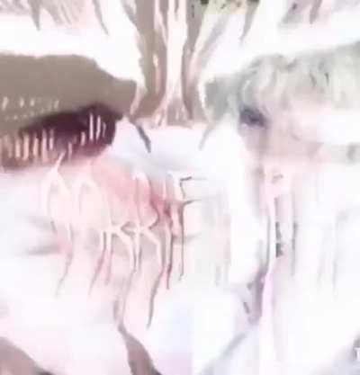 GRIFFIIITHHH!!!!!!!!!