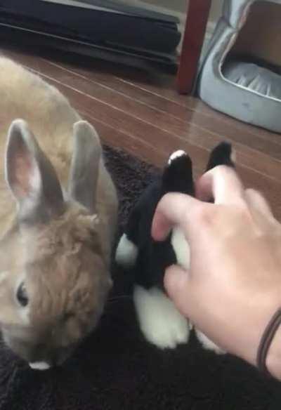 Someone is a little jealous