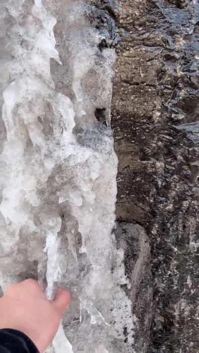 Recorded this last year