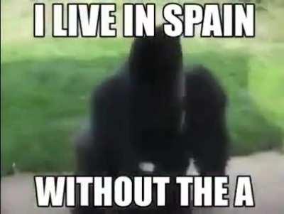 I live in Spªin 😎🤙