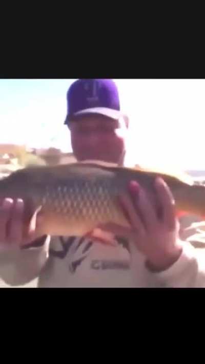 Catch & Release, boys