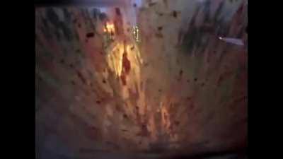 Deer on the tracks. What will he do?