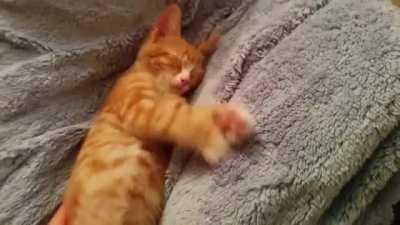 Sleep() does not exit