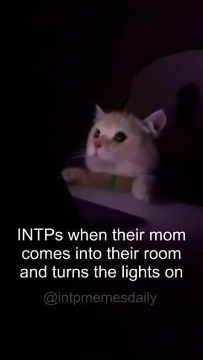 you merely adopted the darkness, I watch YouTube videos in it