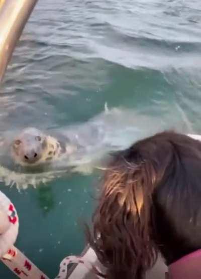 🔥 What's up bro?!